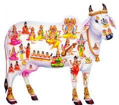 Gau Mata